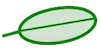 Logo Salix
